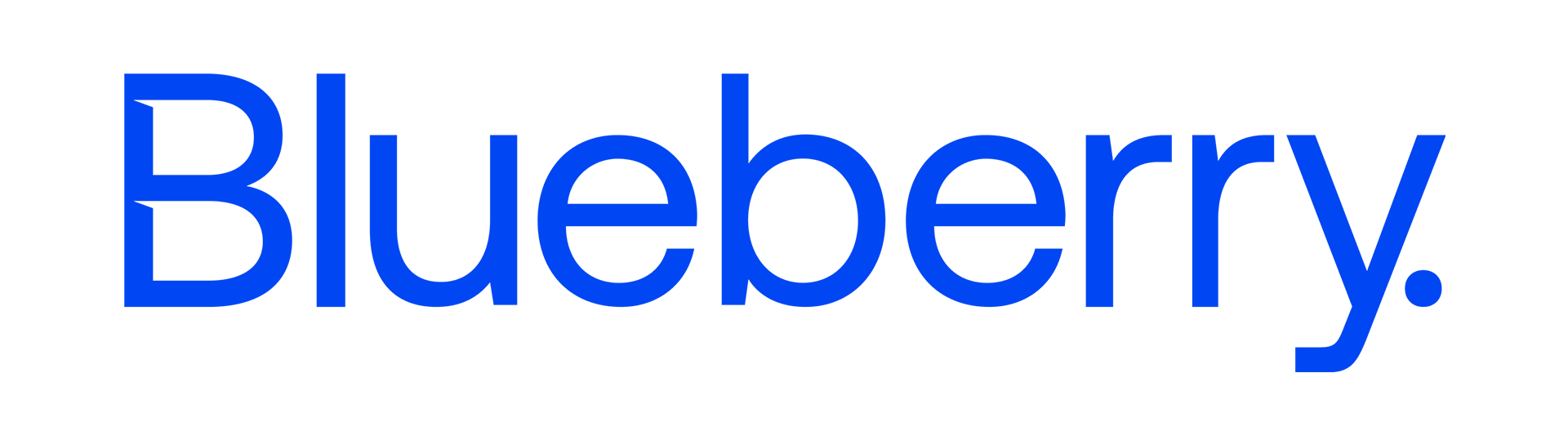 Blueberry Markets Logo